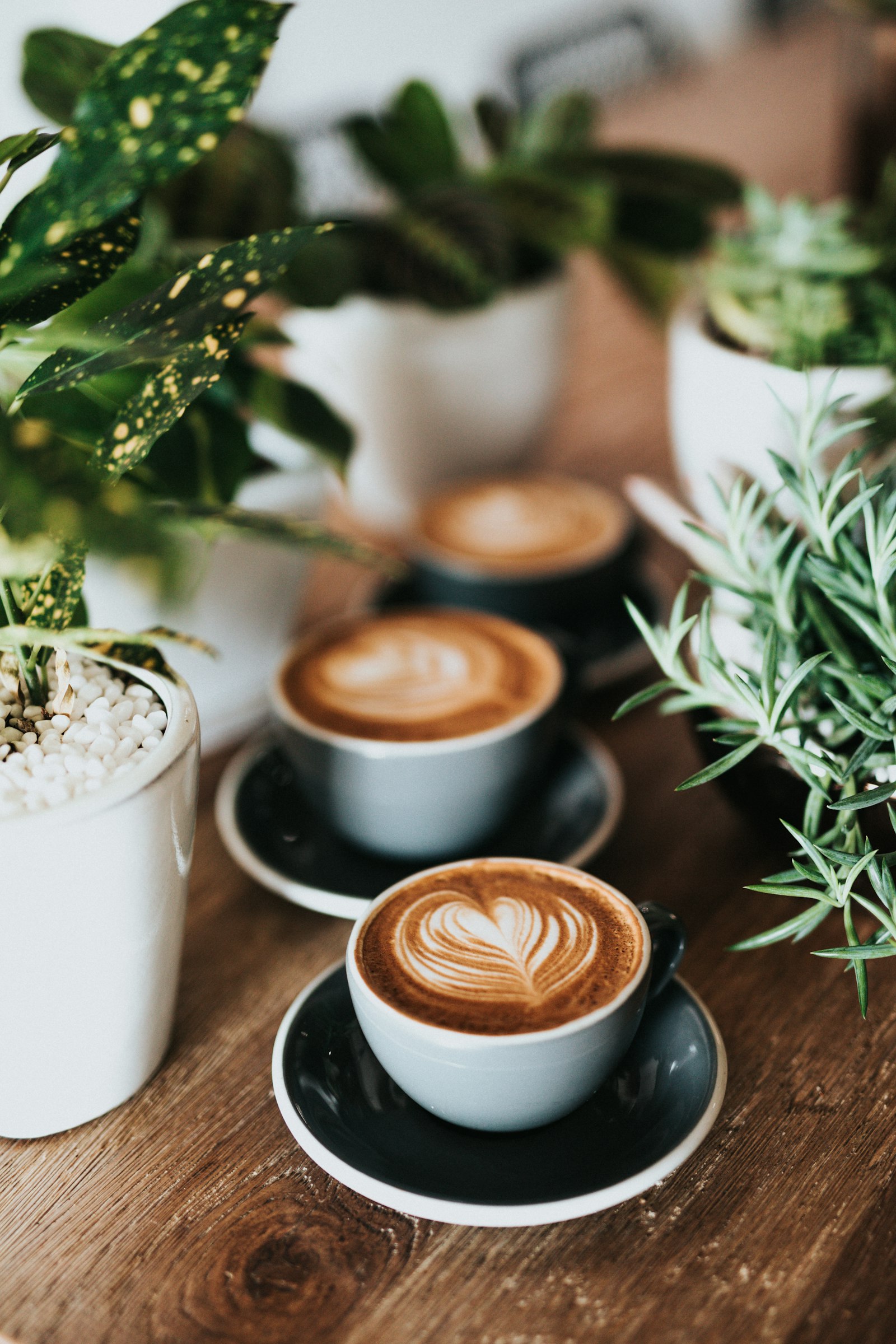 Custom branded paper coffee cups